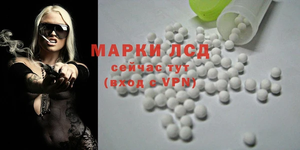 крисы Гусев