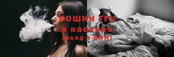 крисы Гусев