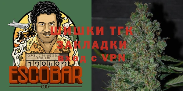 крисы Гусев