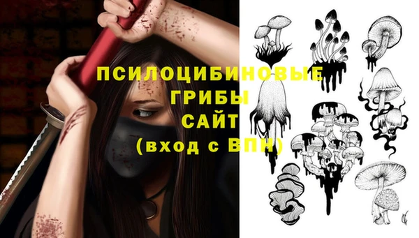 mix Гусиноозёрск