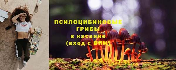 mix Гусиноозёрск