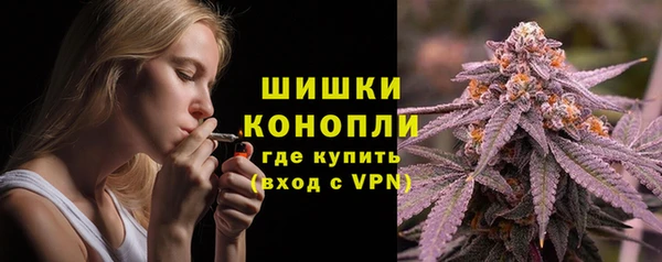 бошки Гусь-Хрустальный