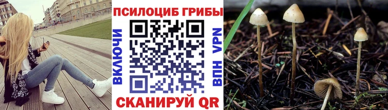 купить наркотики цена  Ейск  площадка официальный сайт  Галлюциногенные грибы ЛСД  blacksprut рабочий сайт 
